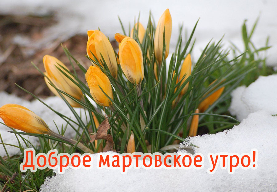 Хостинг картинок yapx.ru