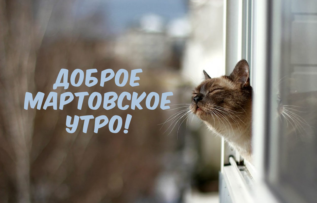 Хостинг картинок yapx.ru