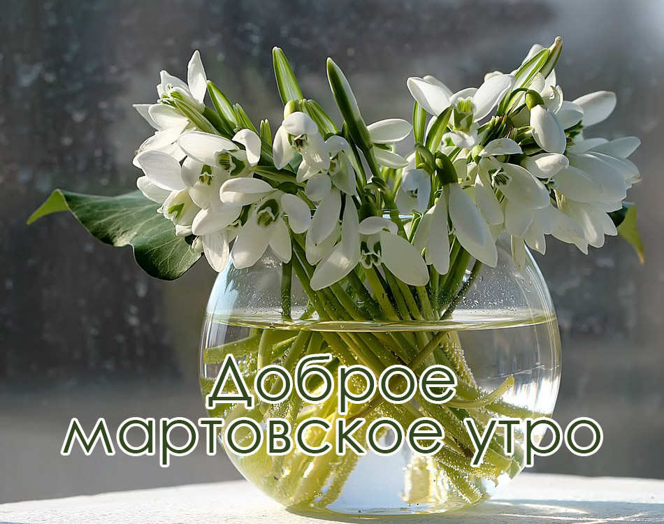 Хостинг картинок yapx.ru