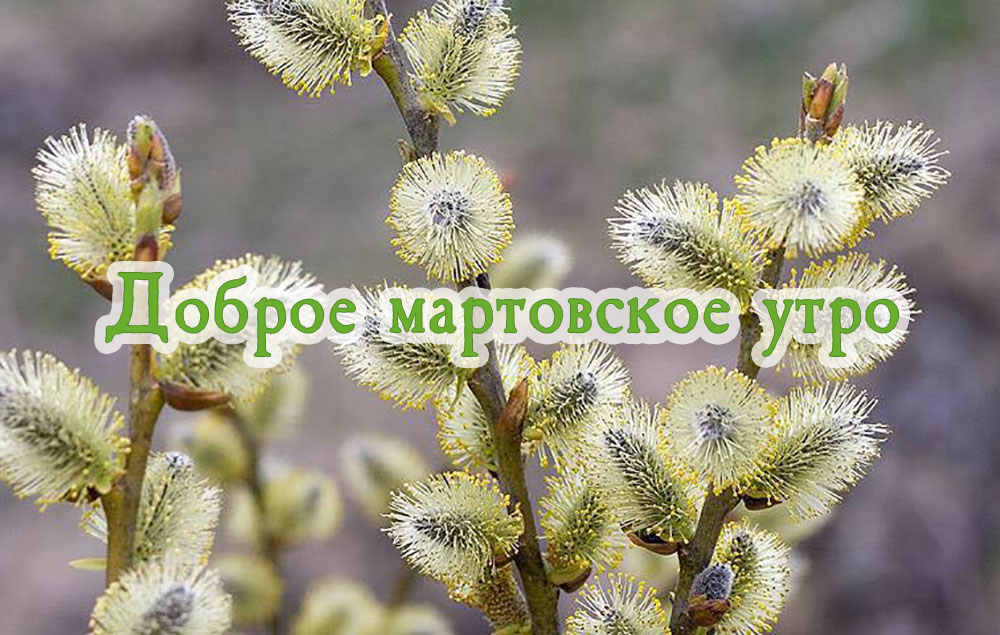 Хостинг картинок yapx.ru