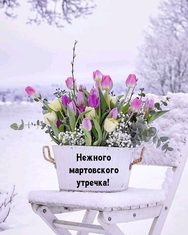 Хостинг картинок yapx.ru