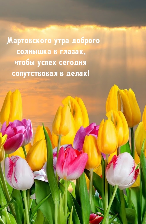 Хостинг картинок yapx.ru