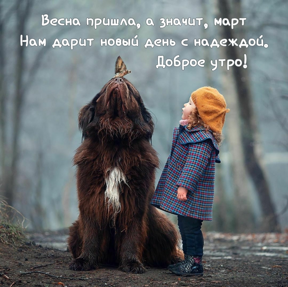 Хостинг картинок yapx.ru