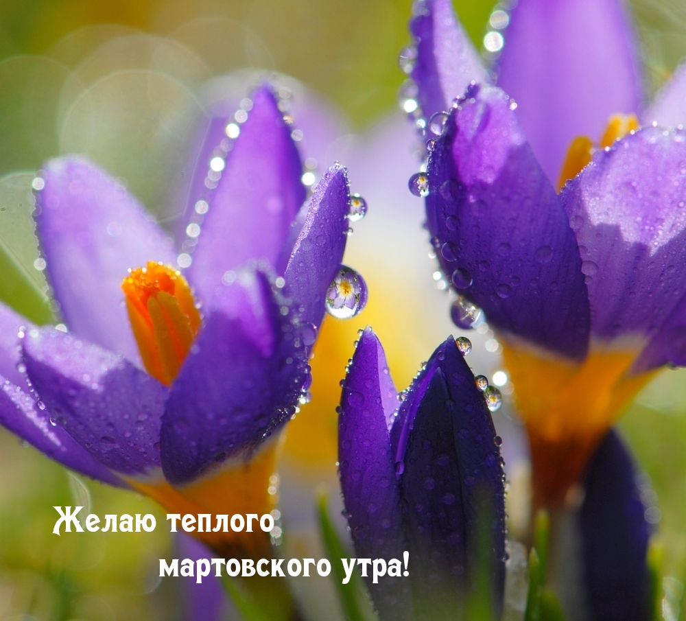 Хостинг картинок yapx.ru