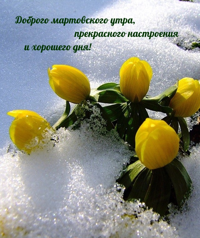 Хостинг картинок yapx.ru