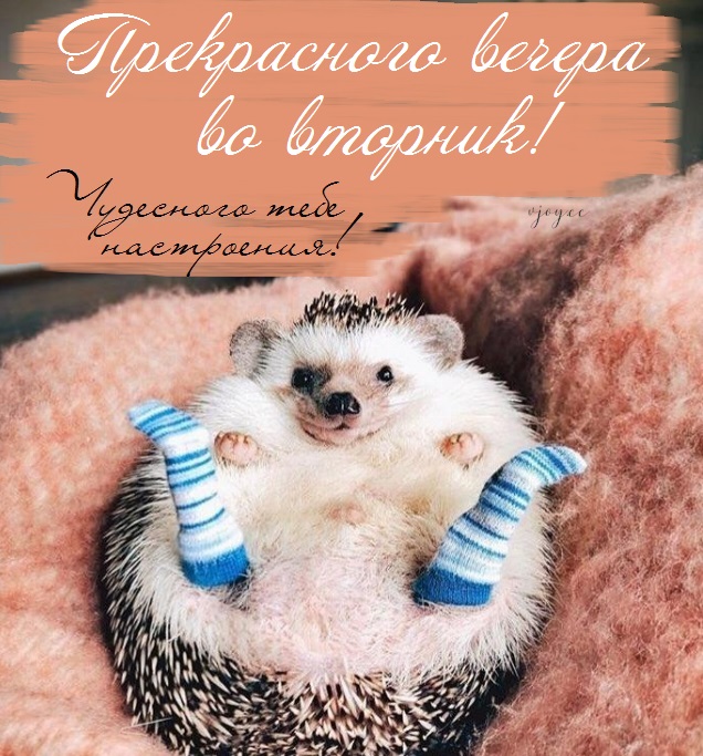 Яркое пожелание приятно провести вечер, красивые вечерние картинки с теплыми словами... Яркое пожелание приятно провести вечер, красивые вечерние картинки с теплыми словами...