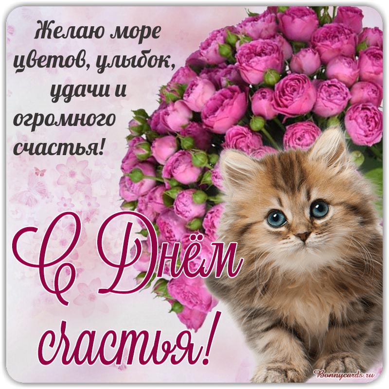 Открытка с котиком на Международный День счастья.