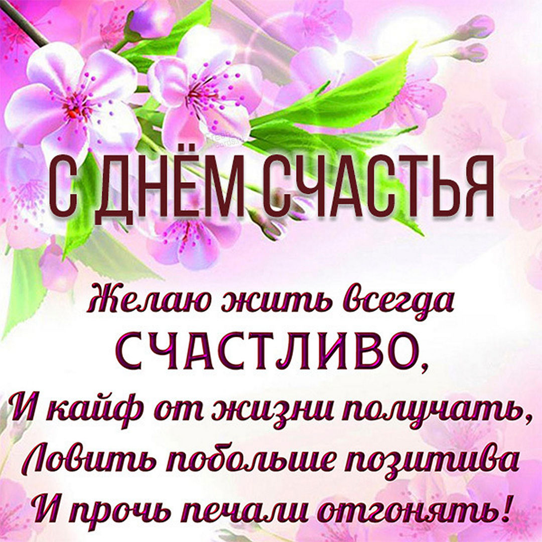 Хостинг картинок yapx.ru