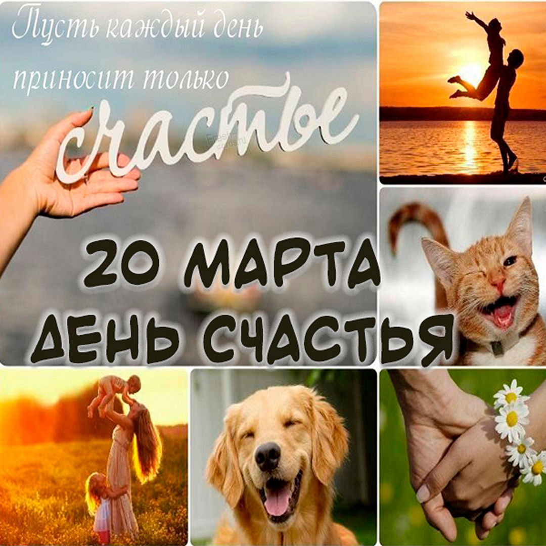 Хостинг картинок yapx.ru