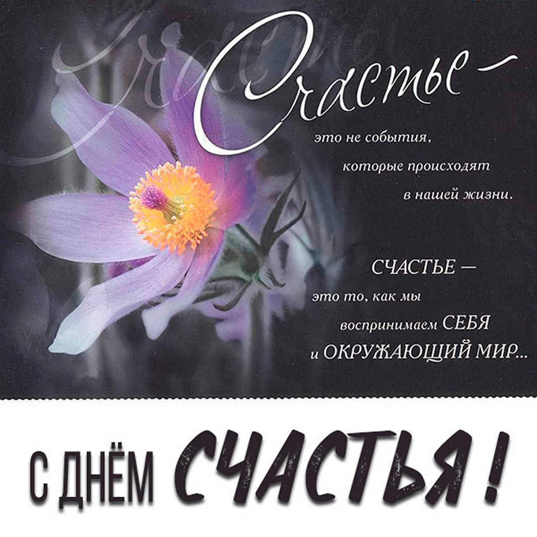 Хостинг картинок yapx.ru