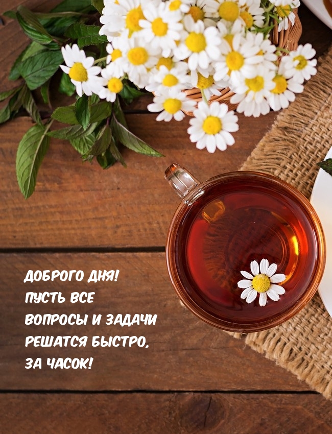 Отличного дня, позитивного настроения, счастья.