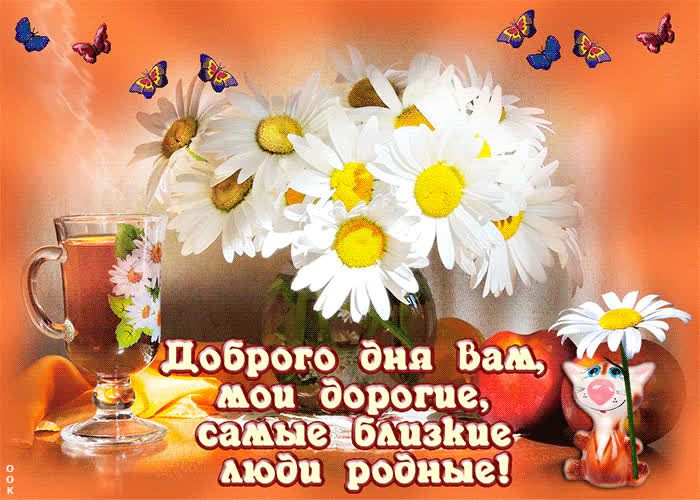 Доброе пожелание уютного дня на фоне цветов.