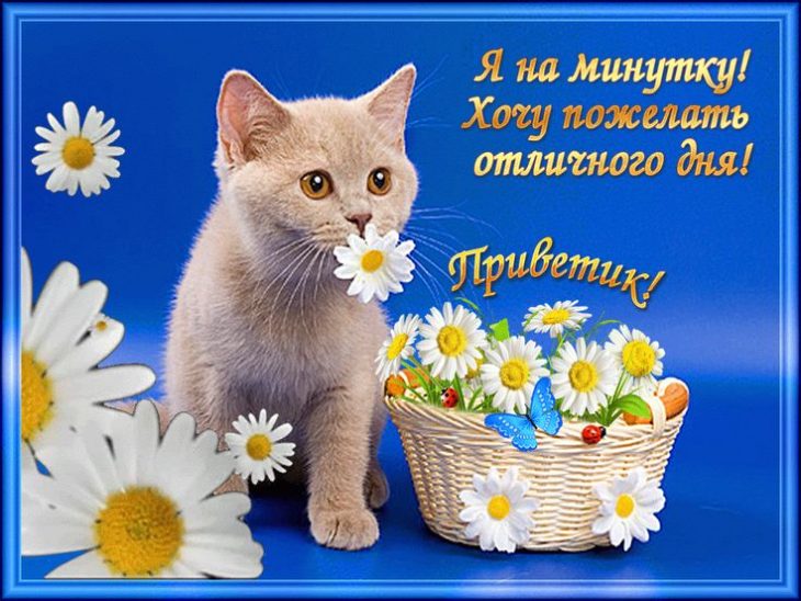 Позитивная открытка отличного дня, счастья и радости.