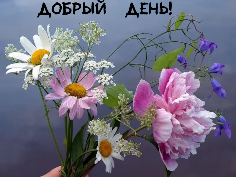Милая картинка доброго дня с пожеланием и цветочками.