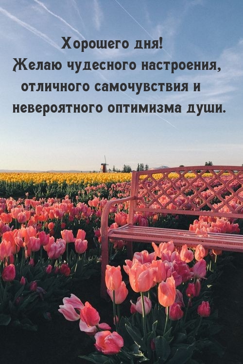 Счастливого, очень доброго, позитивного дня тебе.
