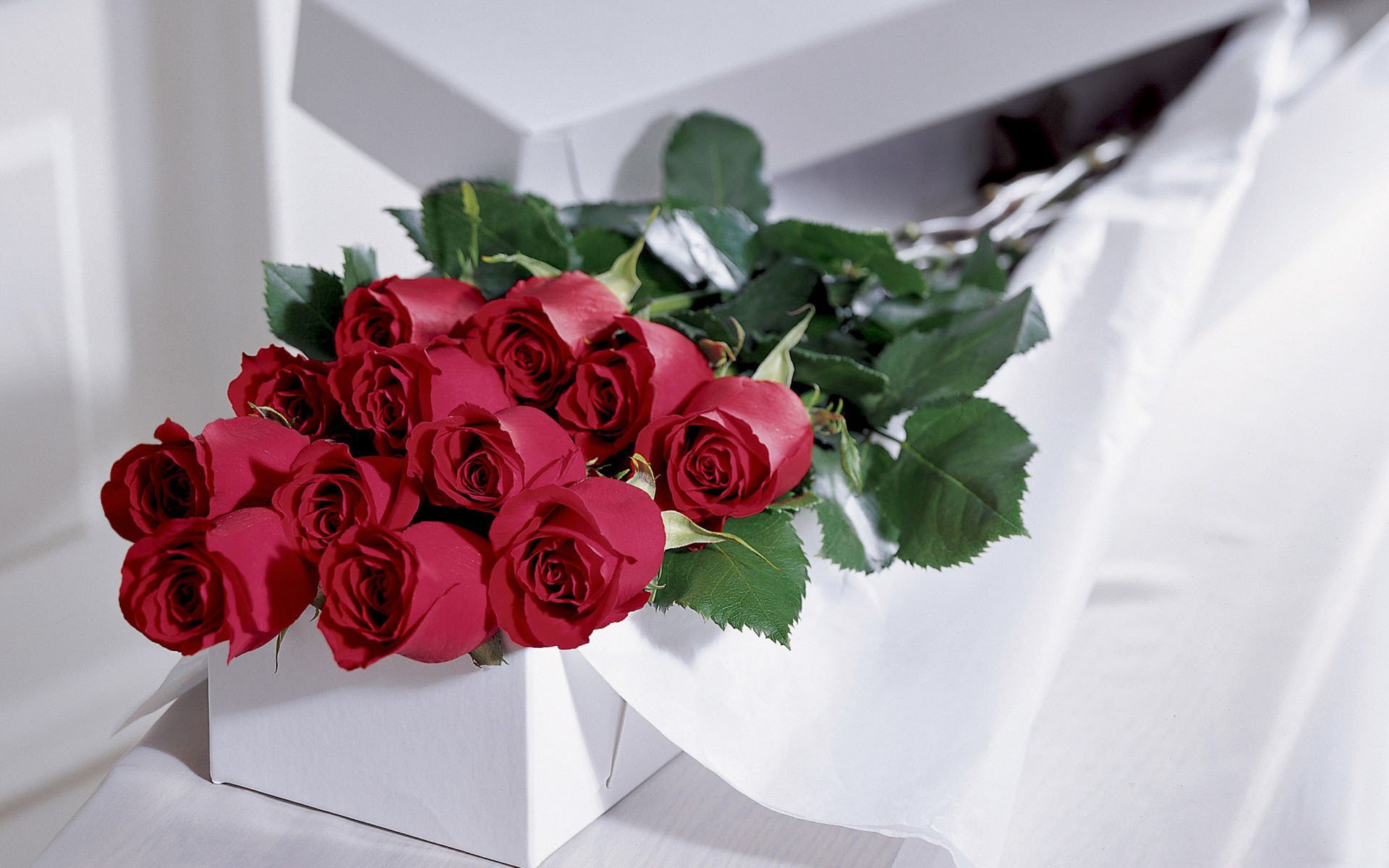 Хостинг картинок yapx.ru