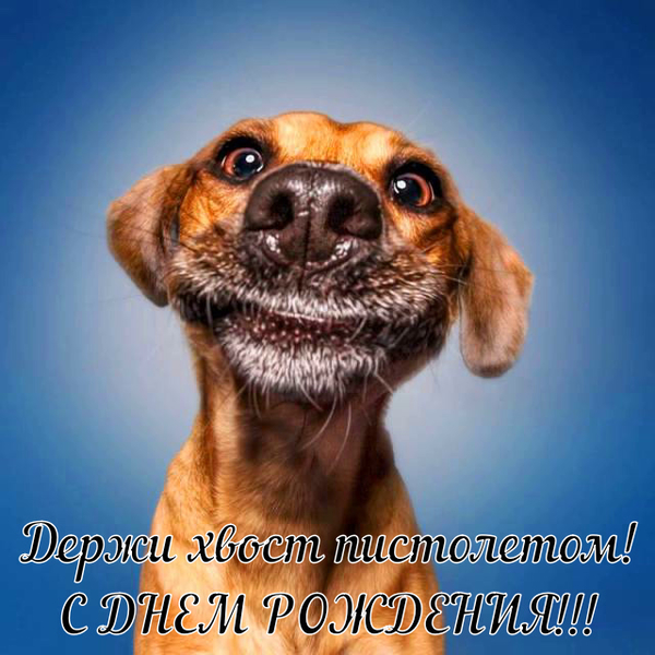  Смешные поздравления с днем рождения
