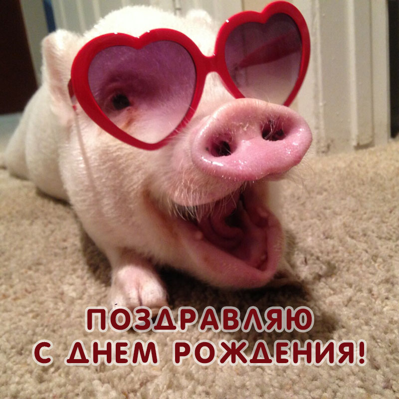 Хостинг картинок yapx.ru