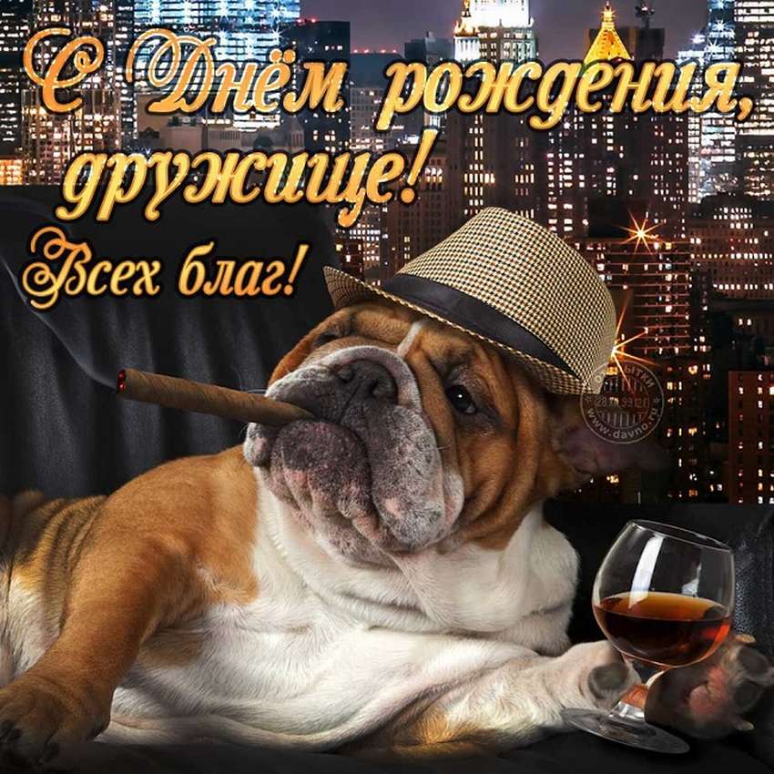 Хостинг картинок yapx.ru