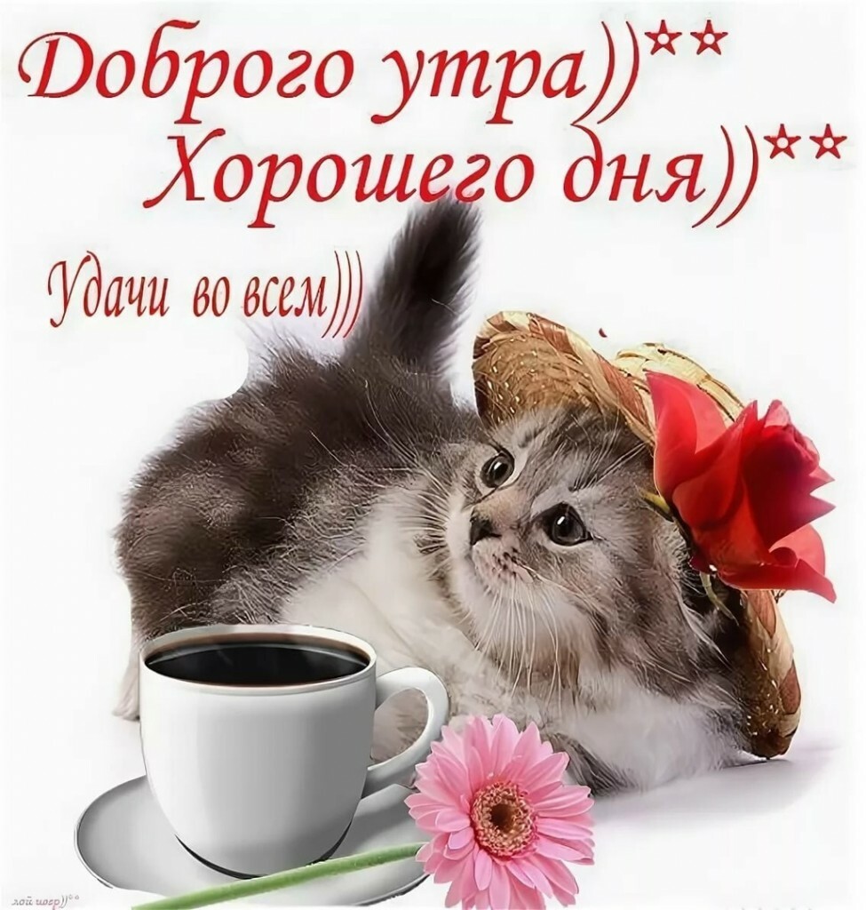 Пожелания доброго утра и хорошего настроения