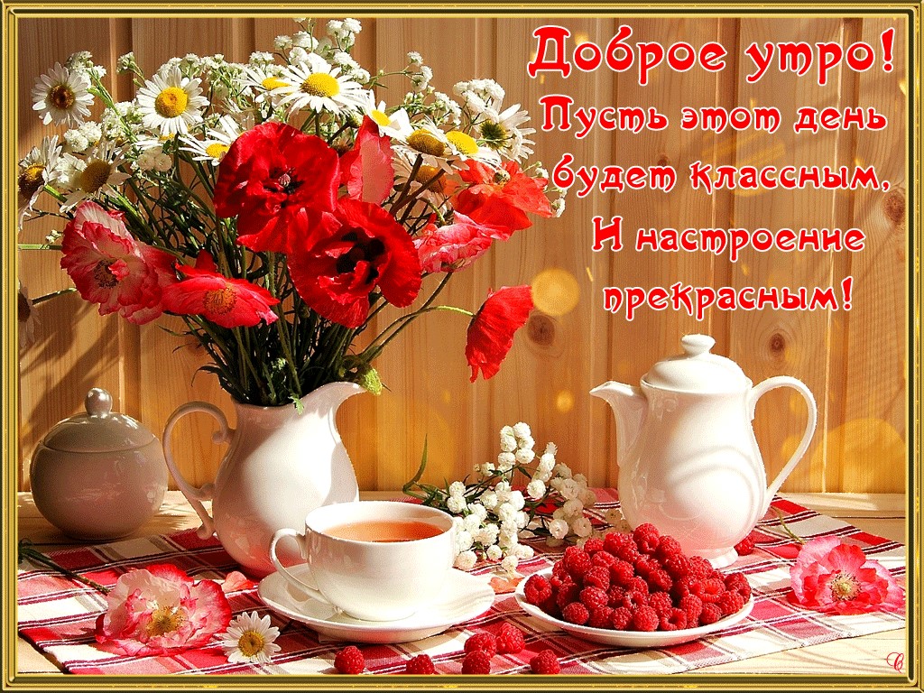 Красивые картинки с пожеланием доброго утра, хорошего дня и настроения.
