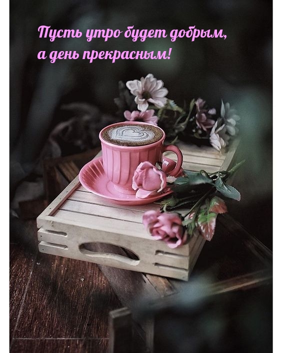 Открытки с добрым утром прикольные