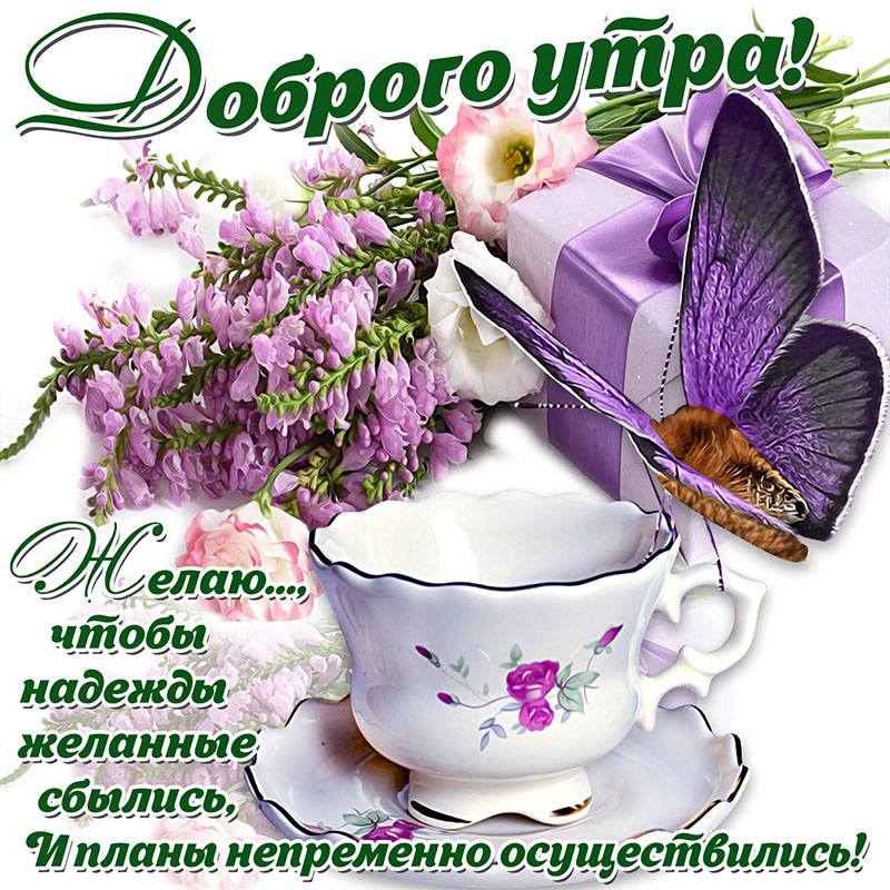 Хостинг картинок yapx.ru