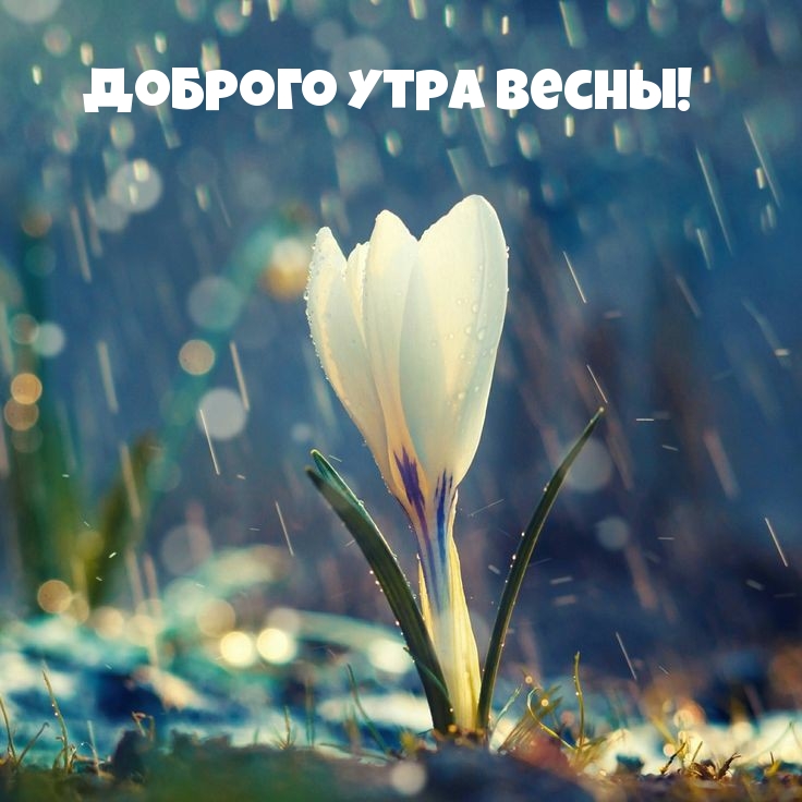 Хостинг картинок yapx.ru