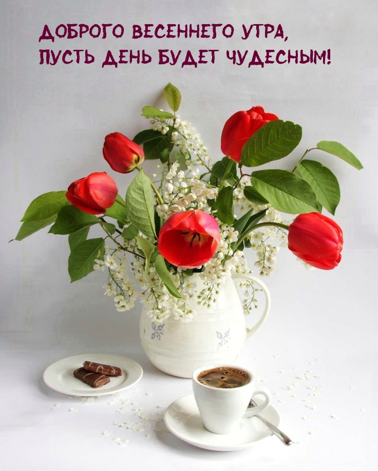 Хостинг картинок yapx.ru