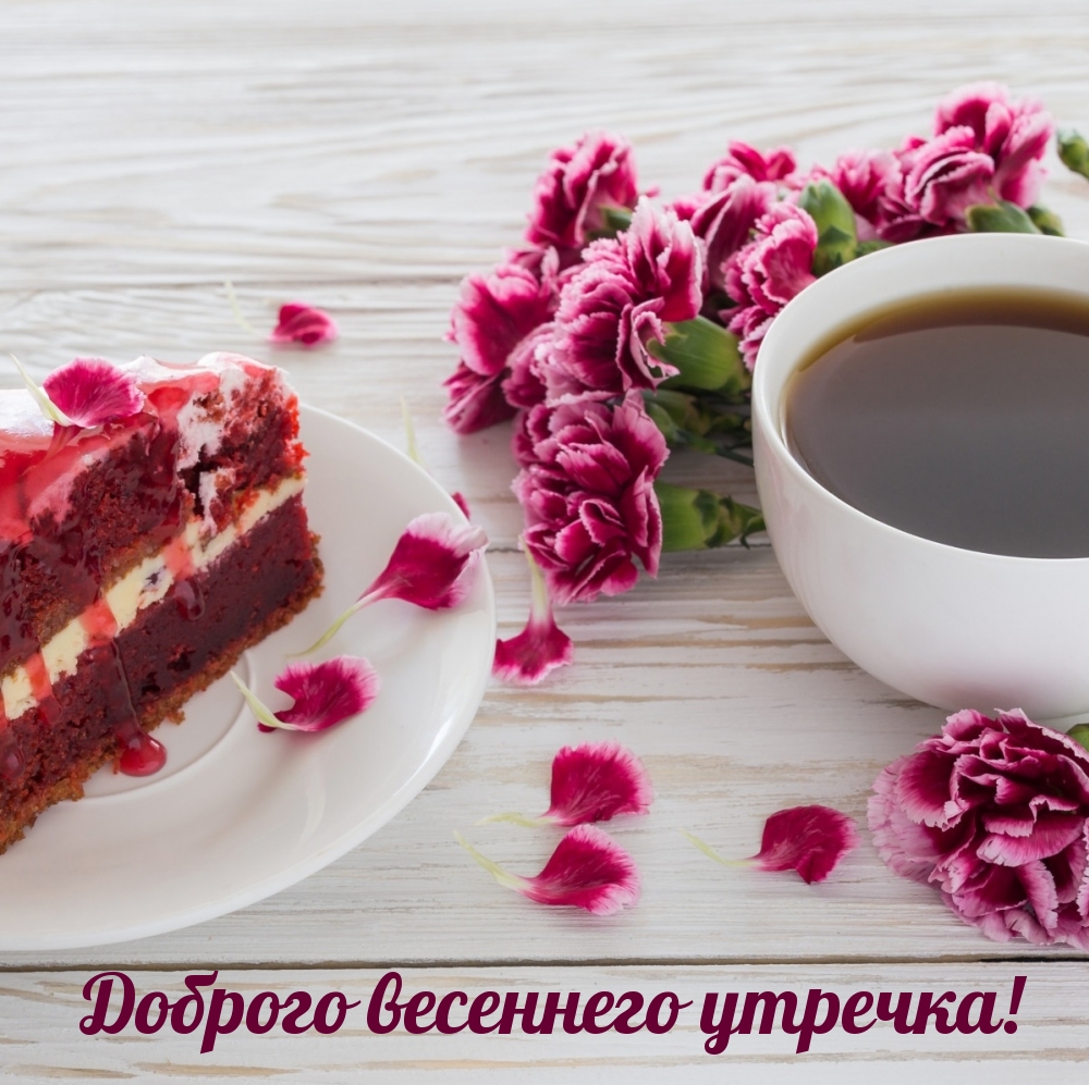 Хостинг картинок yapx.ru