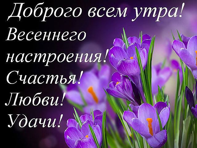 Красивые открытки, картинки и пожелания "Доброго весеннего утра. Красивые открытки, картинки и пожелания "Доброго весеннего утра.