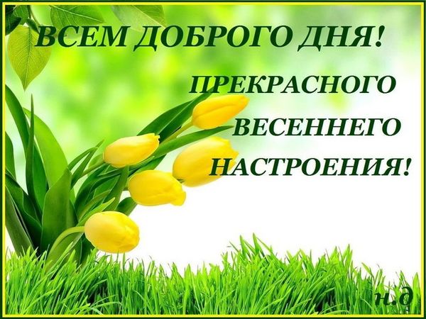 Доброго весеннего утра и хорошего дня Доброго весеннего утра и хорошего дня