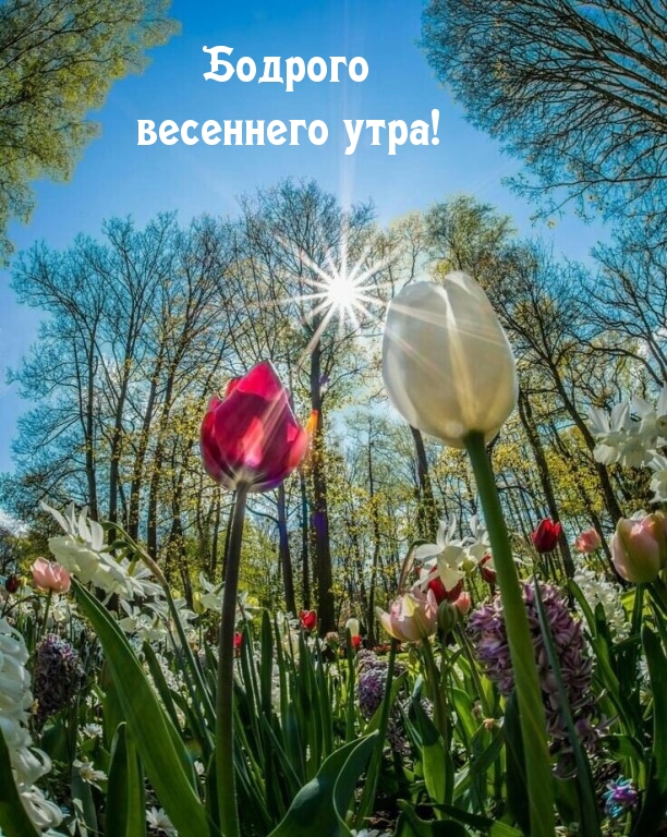 Хостинг картинок yapx.ru