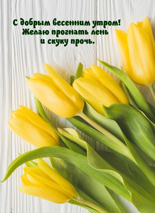 С добрым весенним утром! Желаю прогнать лень и скуку прочь. С добрым весенним утром! Желаю прогнать лень и скуку прочь.