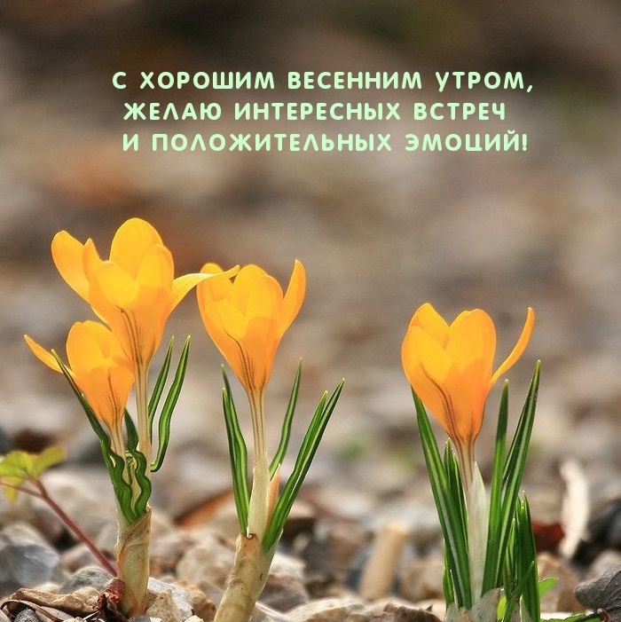 Хостинг картинок yapx.ru