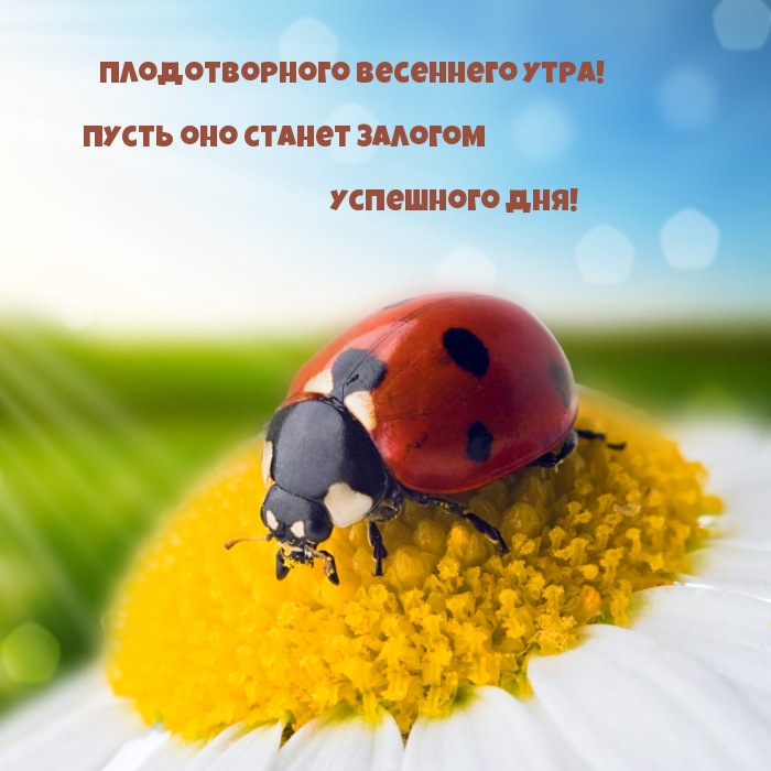 Хостинг картинок yapx.ru