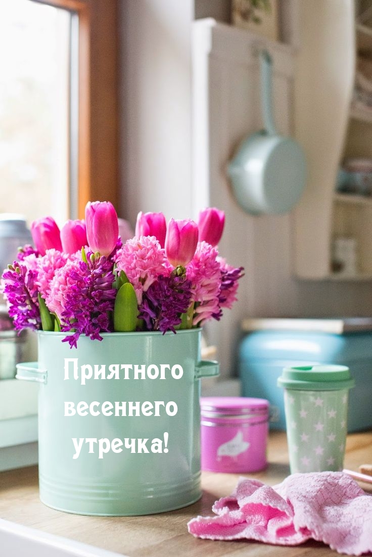 Хостинг картинок yapx.ru