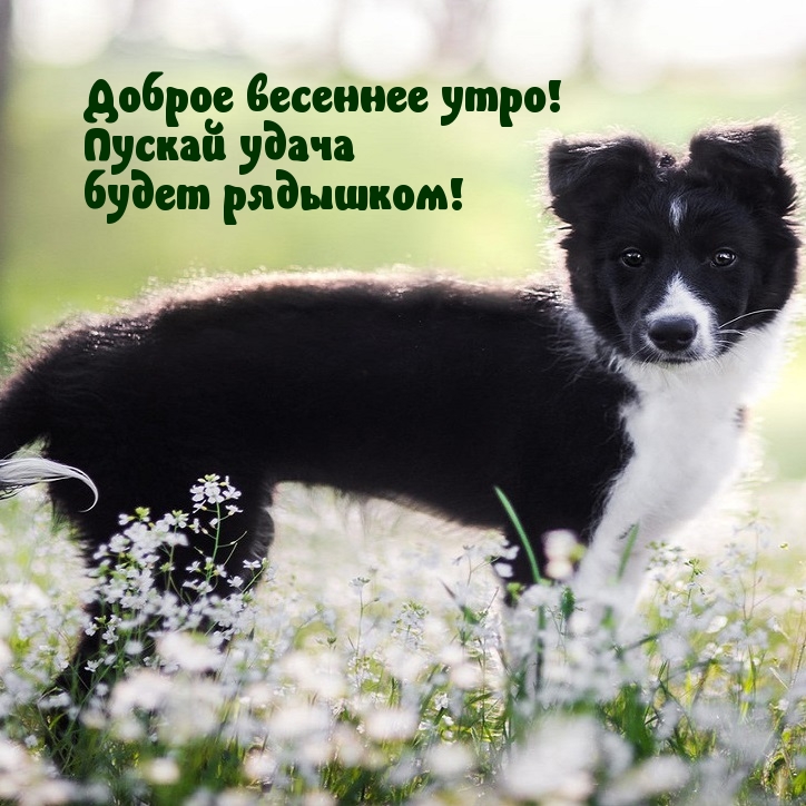 Хостинг картинок yapx.ru