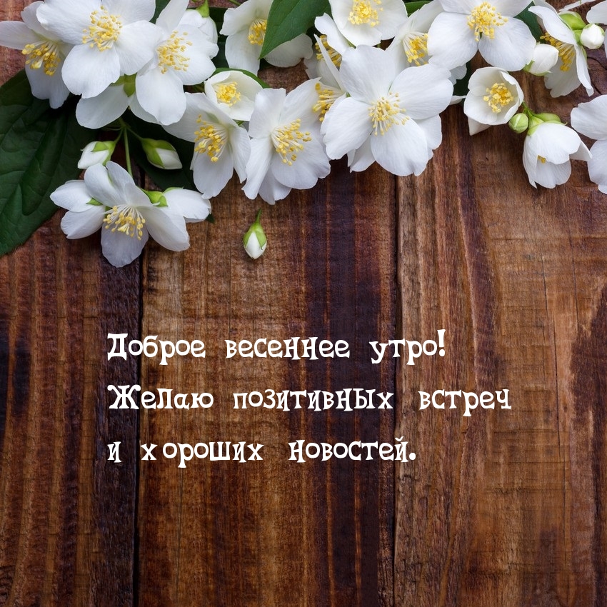 Хостинг картинок yapx.ru