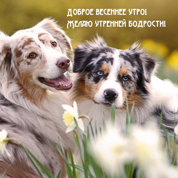 Хостинг картинок yapx.ru