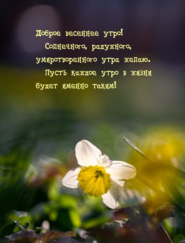 Хостинг картинок yapx.ru