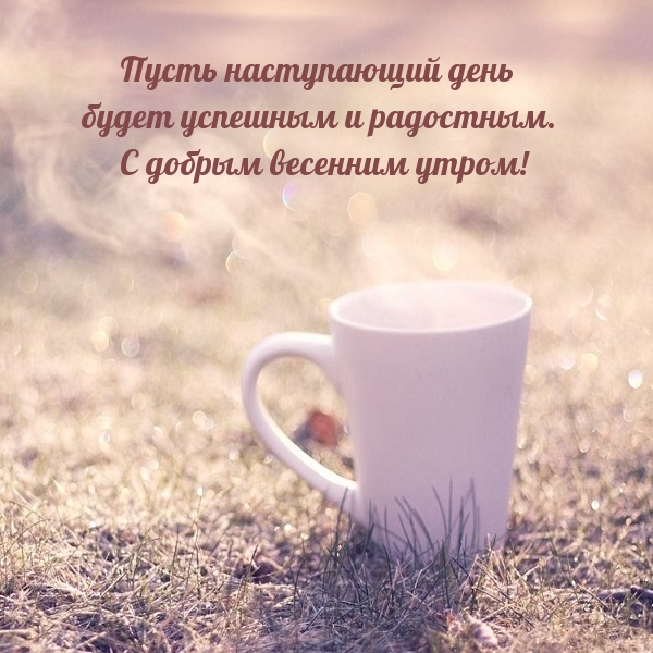 Хостинг картинок yapx.ru