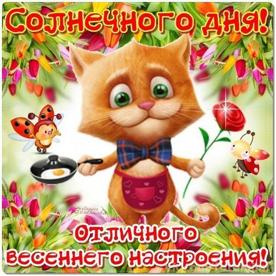 Хостинг картинок yapx.ru