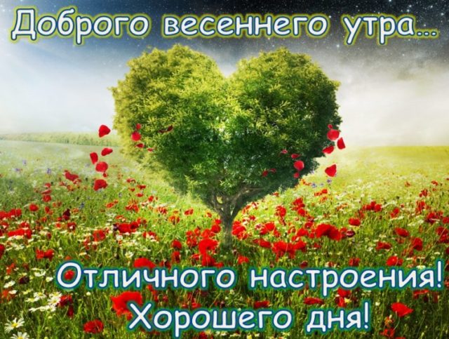 Хостинг картинок yapx.ru