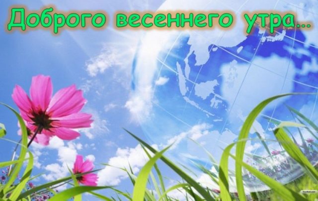 Хостинг картинок yapx.ru