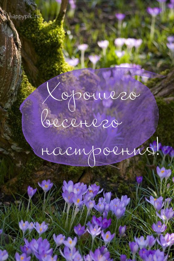 Хостинг картинок yapx.ru