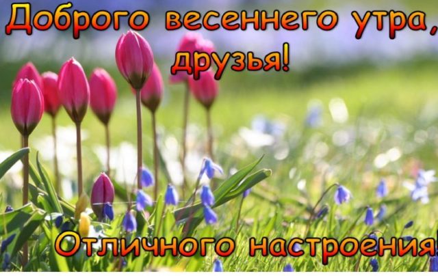 Хостинг картинок yapx.ru