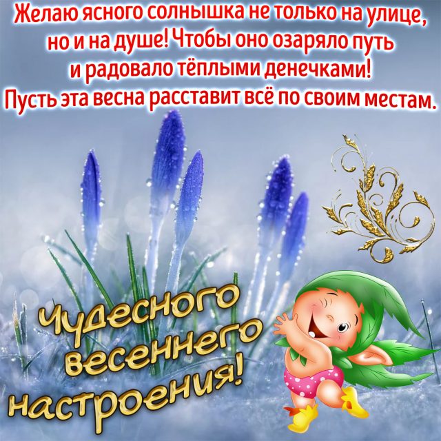 Хостинг картинок yapx.ru