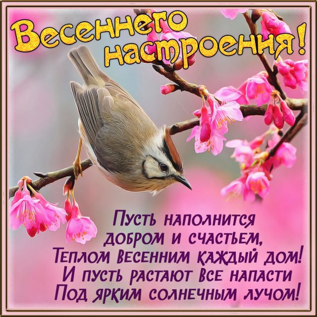 Хостинг картинок yapx.ru