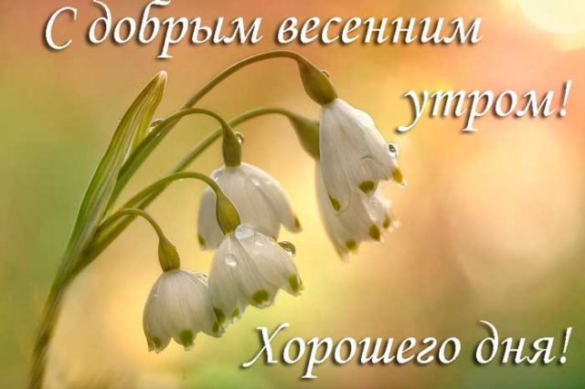 Хостинг картинок yapx.ru
